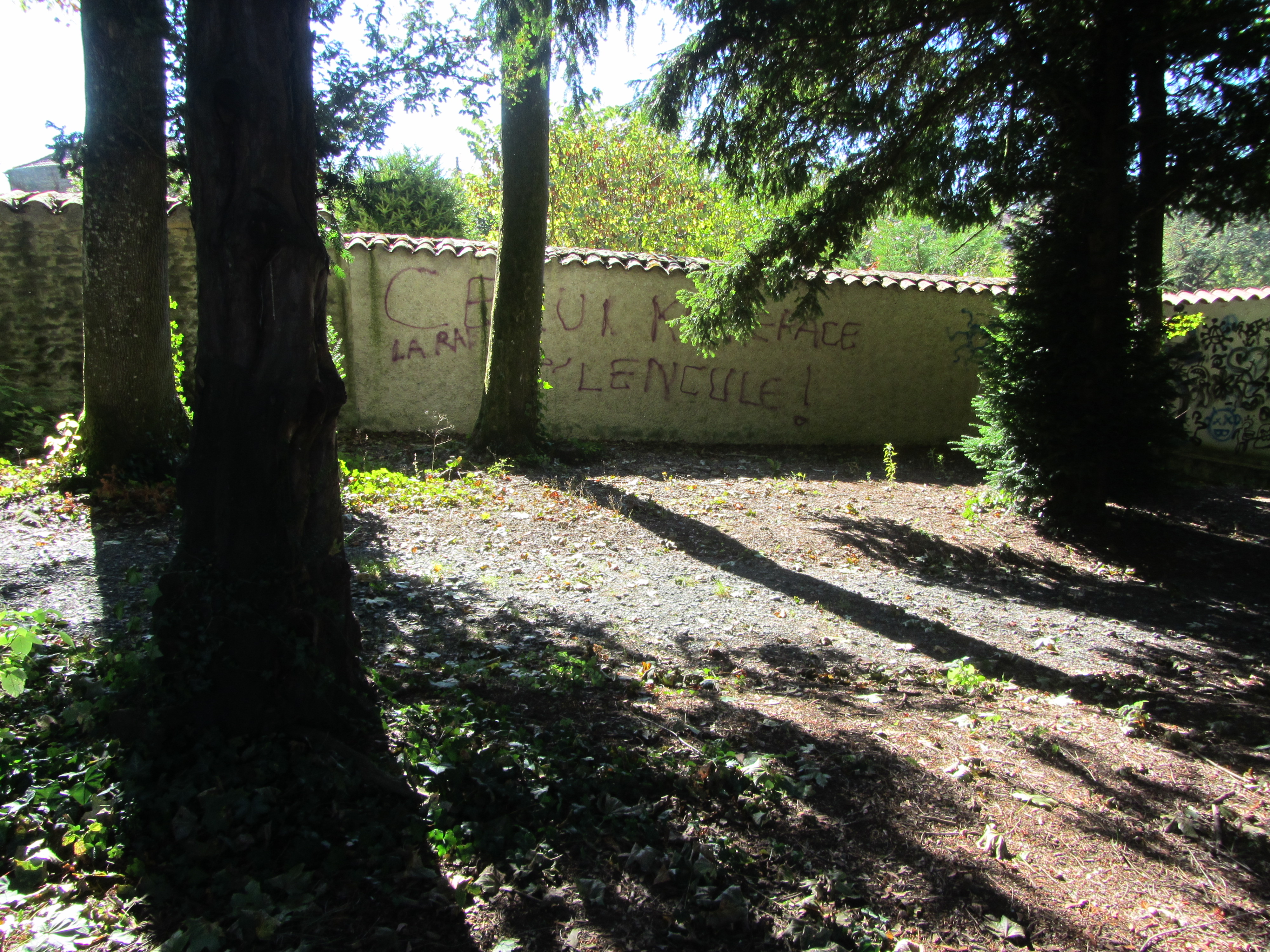 graffitis au parc