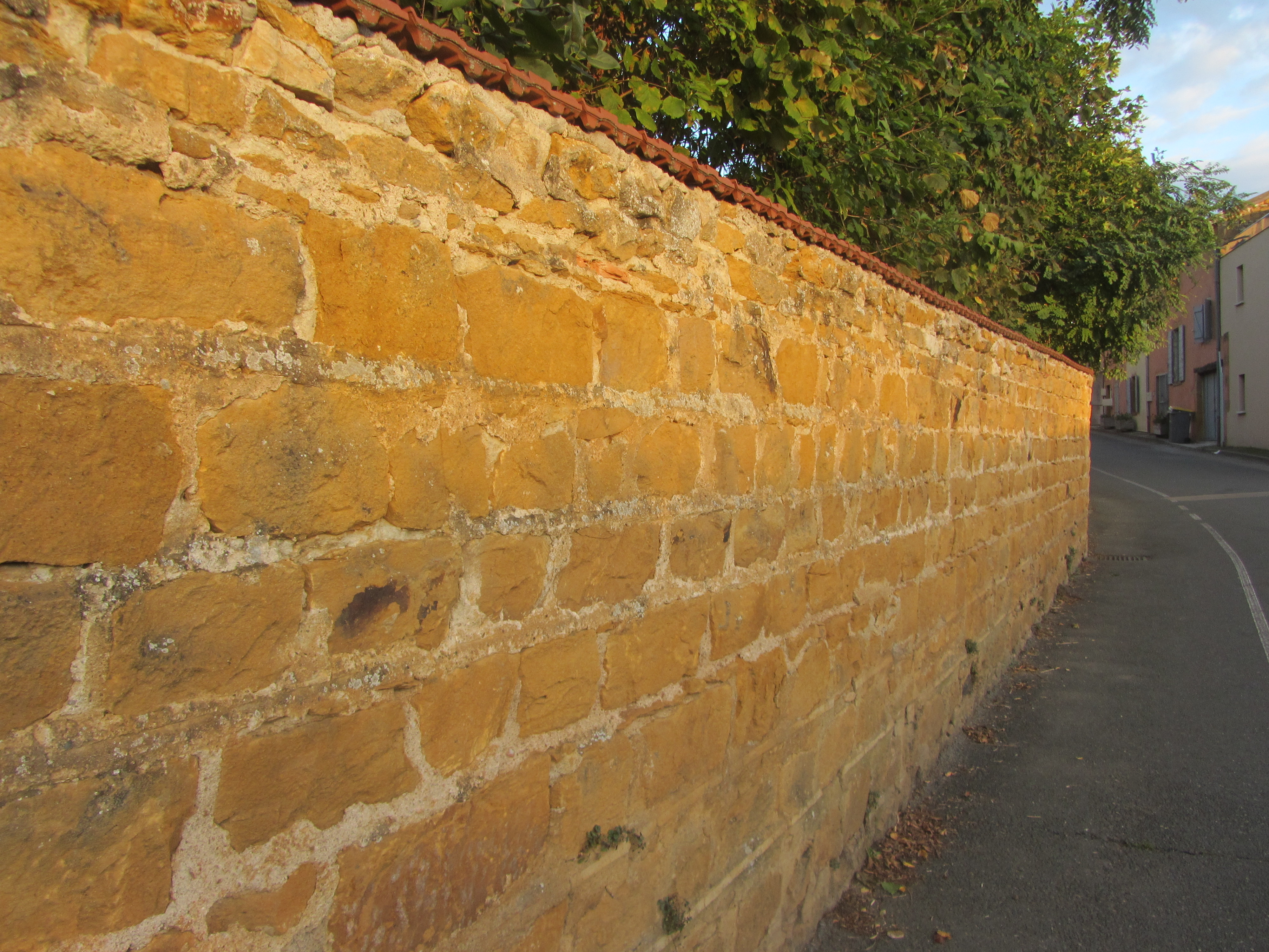 mur de clôture, Bois-d'Oingt