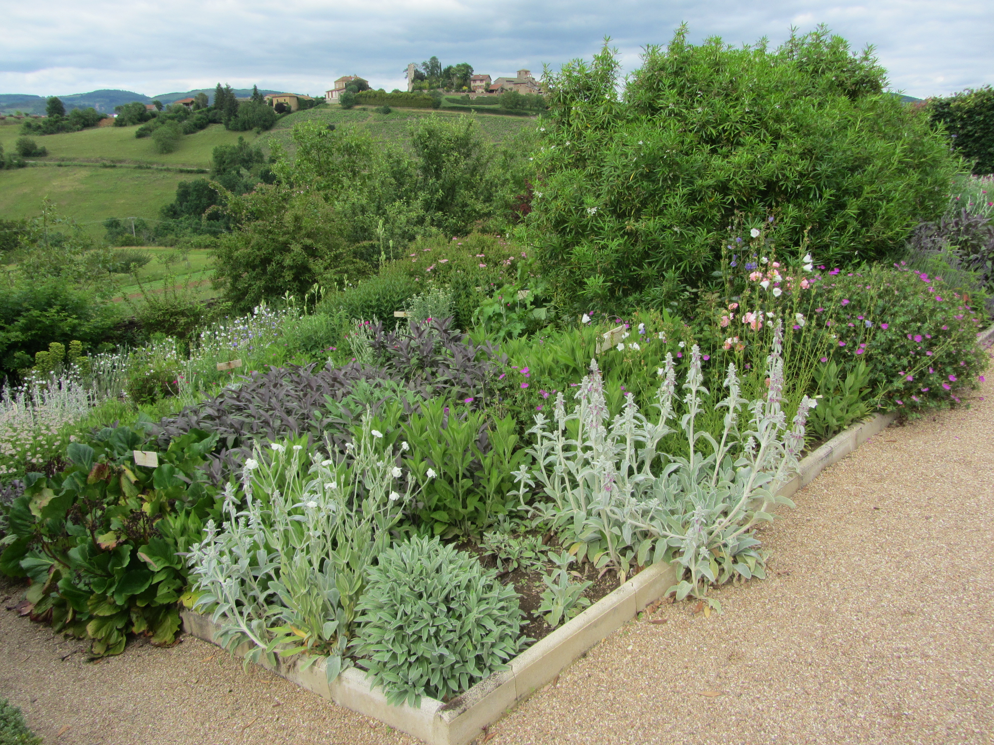 Rejonière, allée du jardin