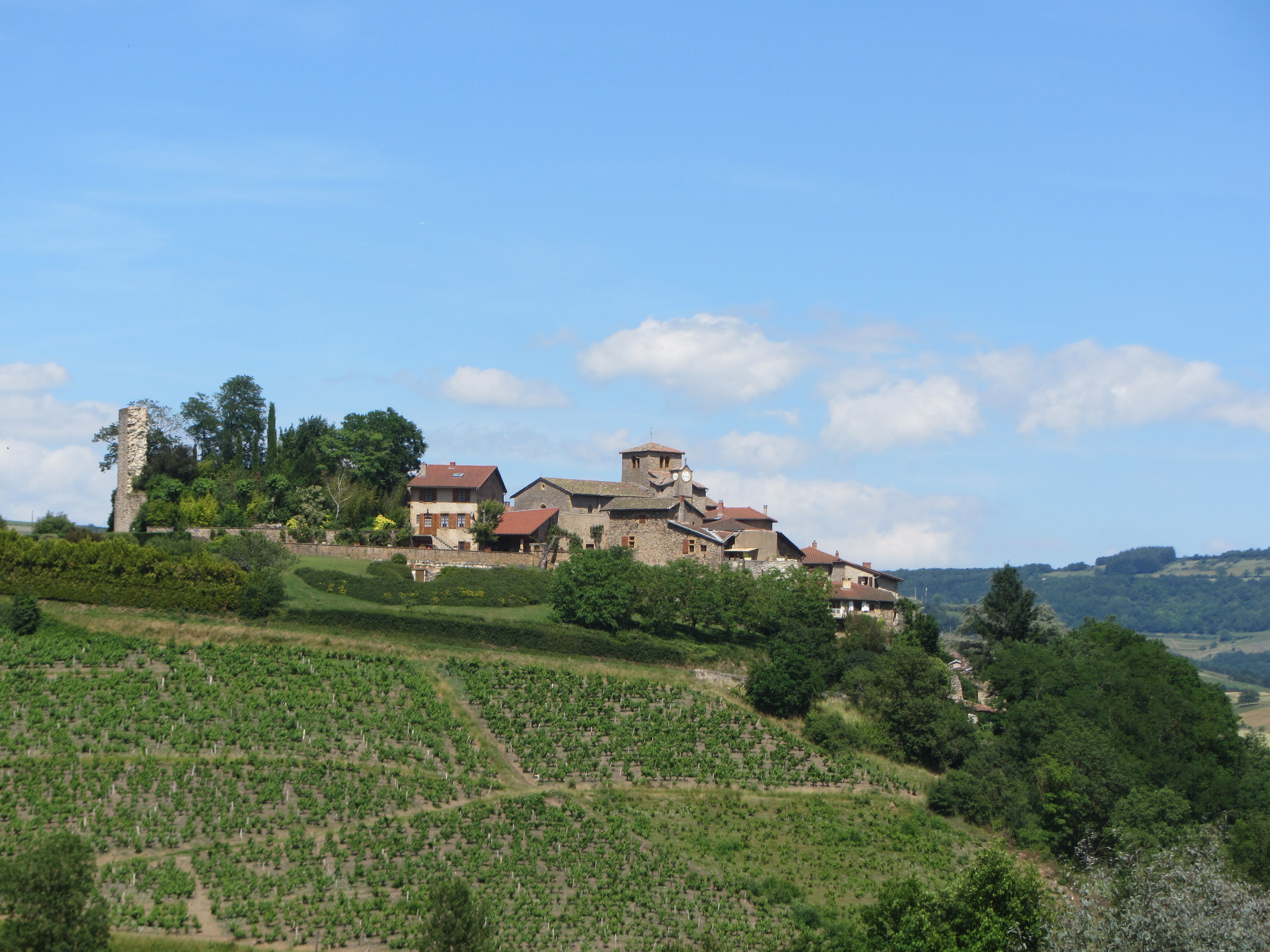 Ternand vu du jardin de la Rejonière