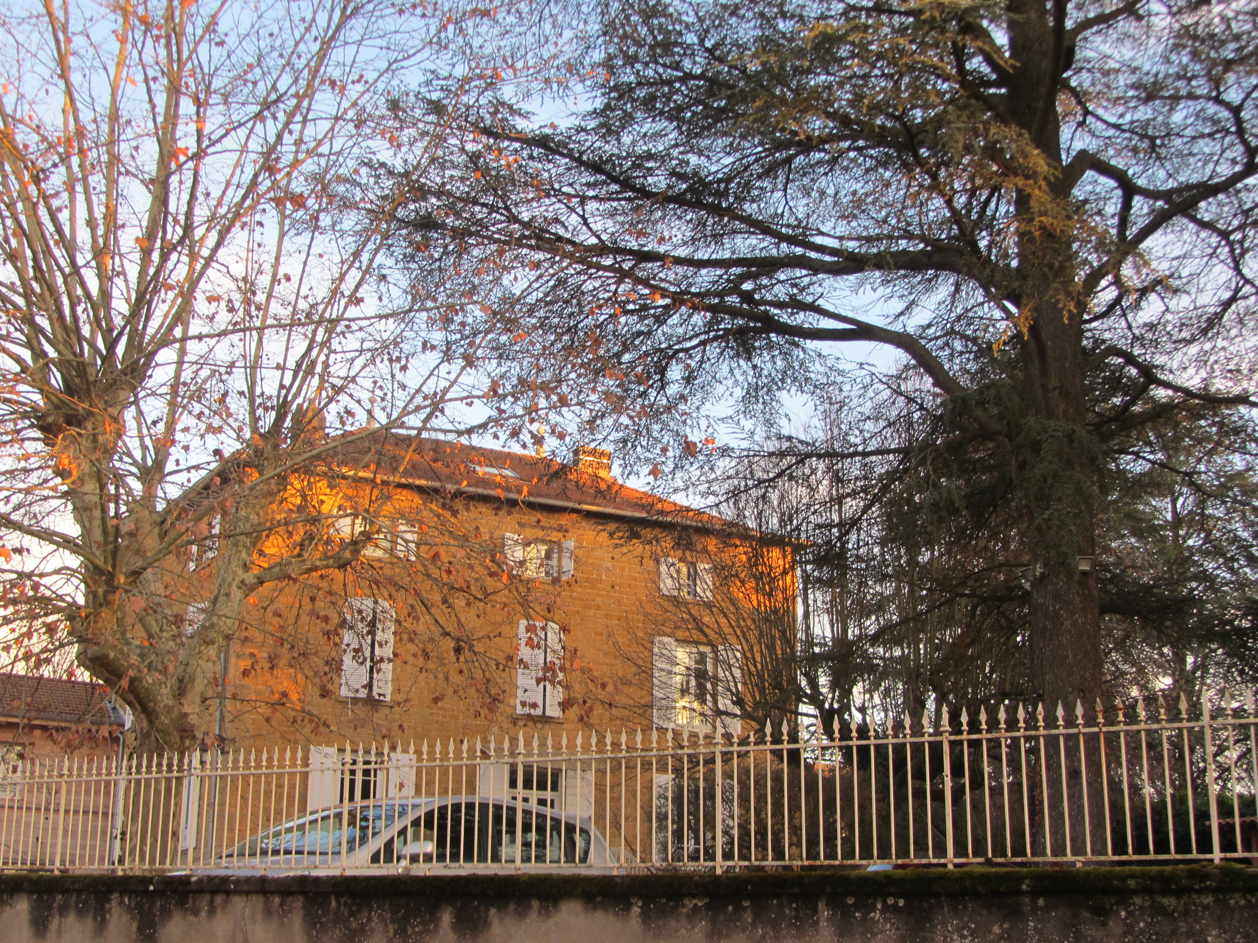 Arbres d'ornement, Bois-d'Oingt