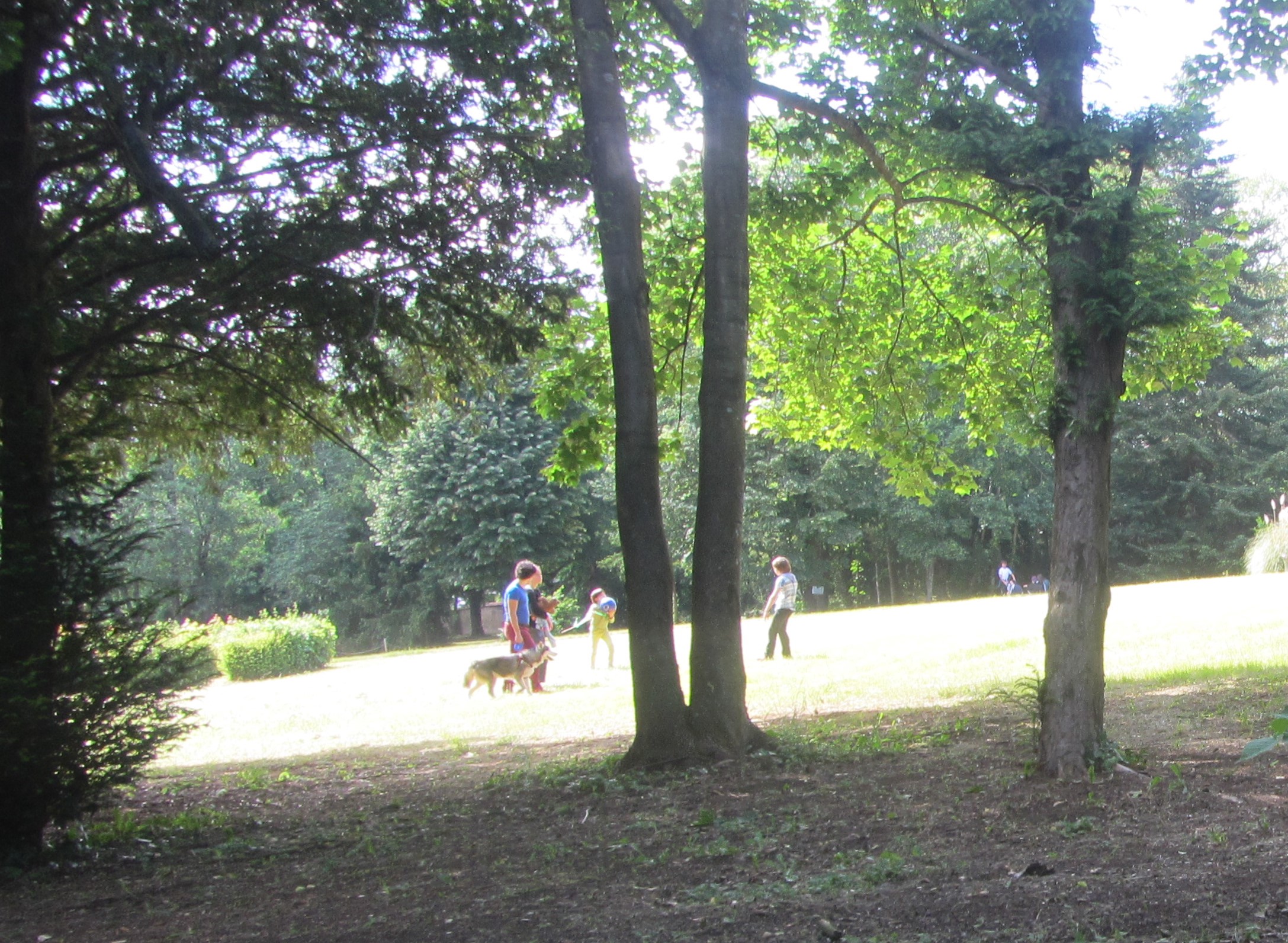 Bois-d'Oingt- parc
