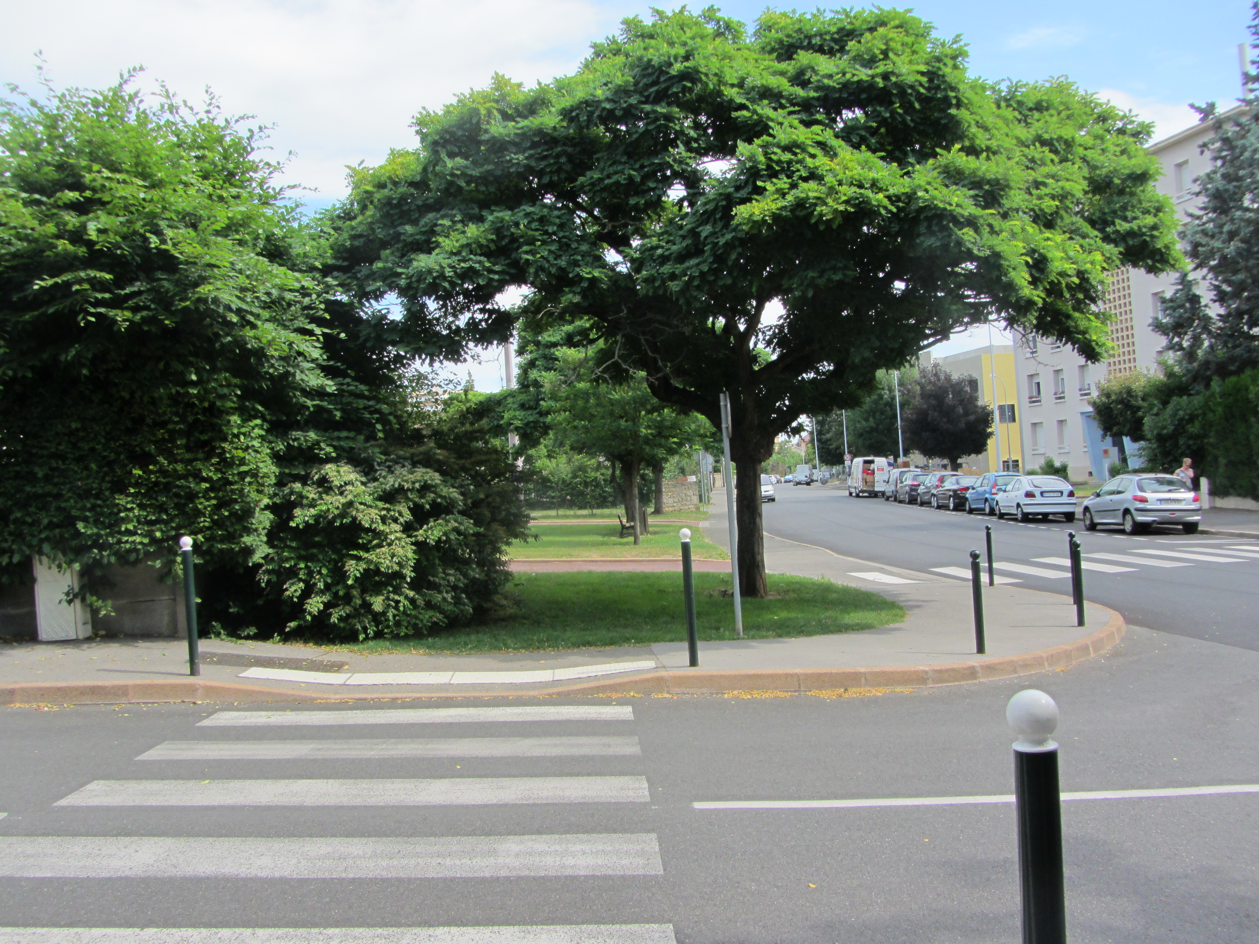 Gleizé, arbre en ville