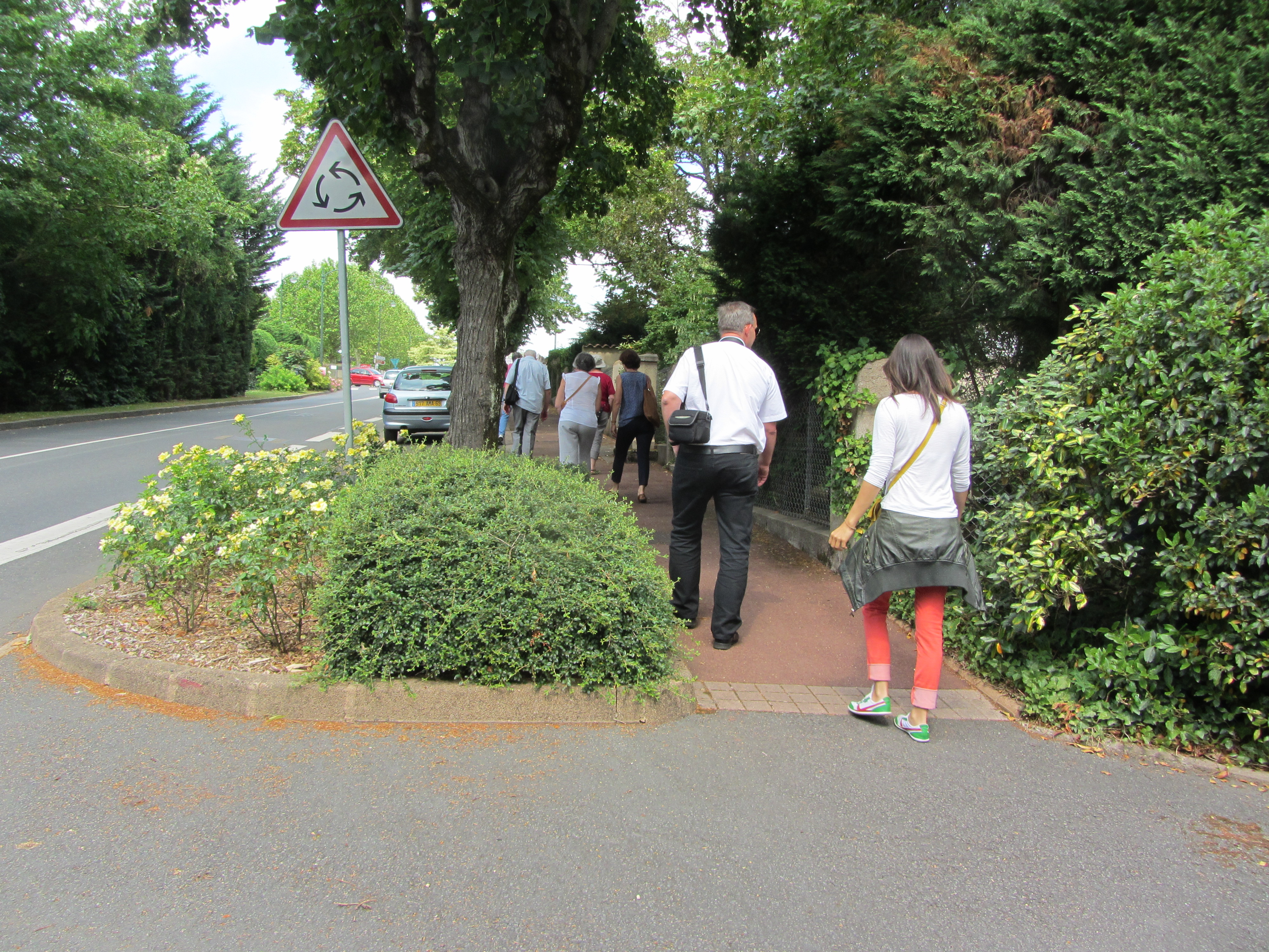 Marcher sous les arbres