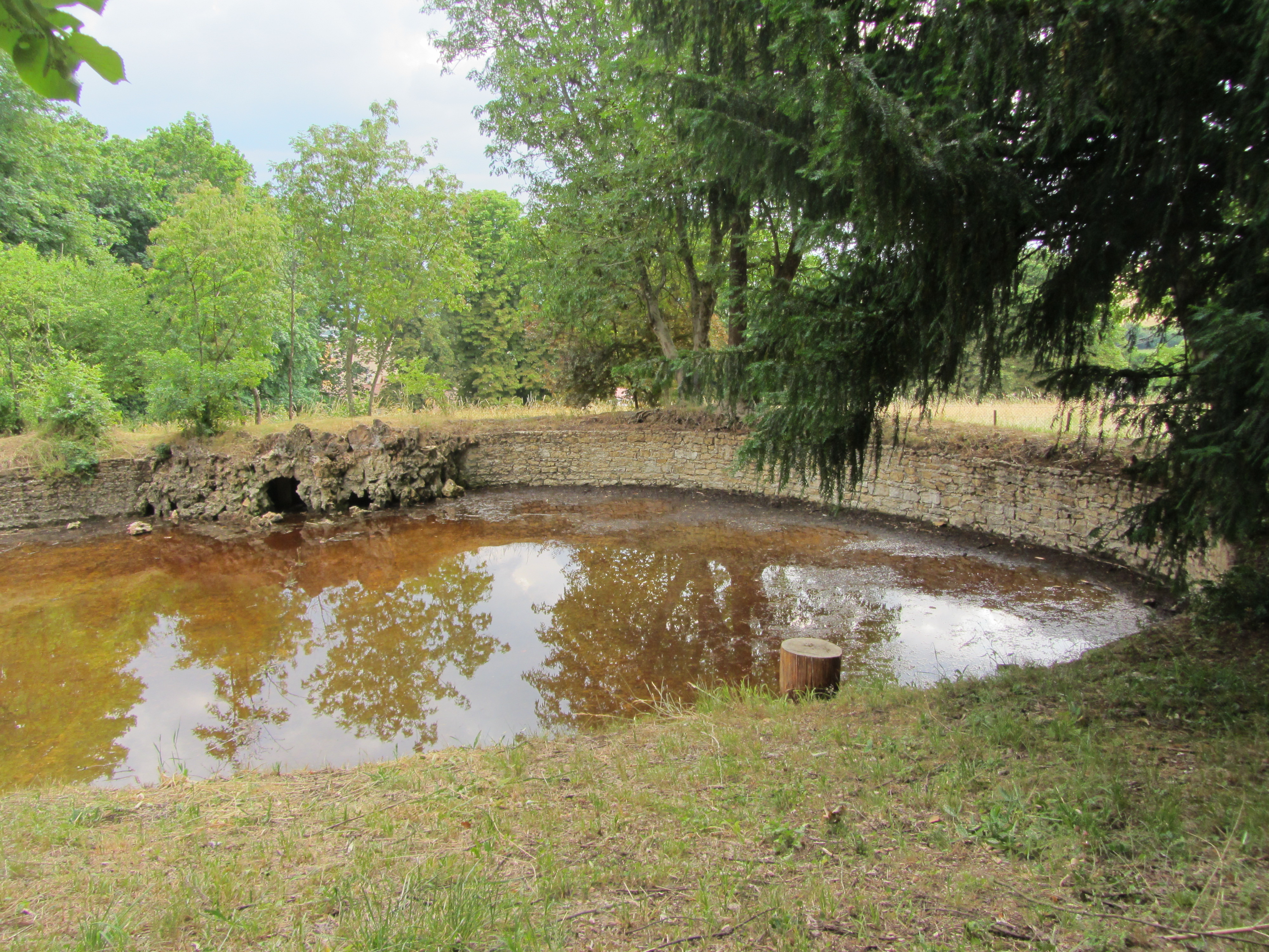 Pichat : le bassin avec un peu d'eau 7 juin 2015