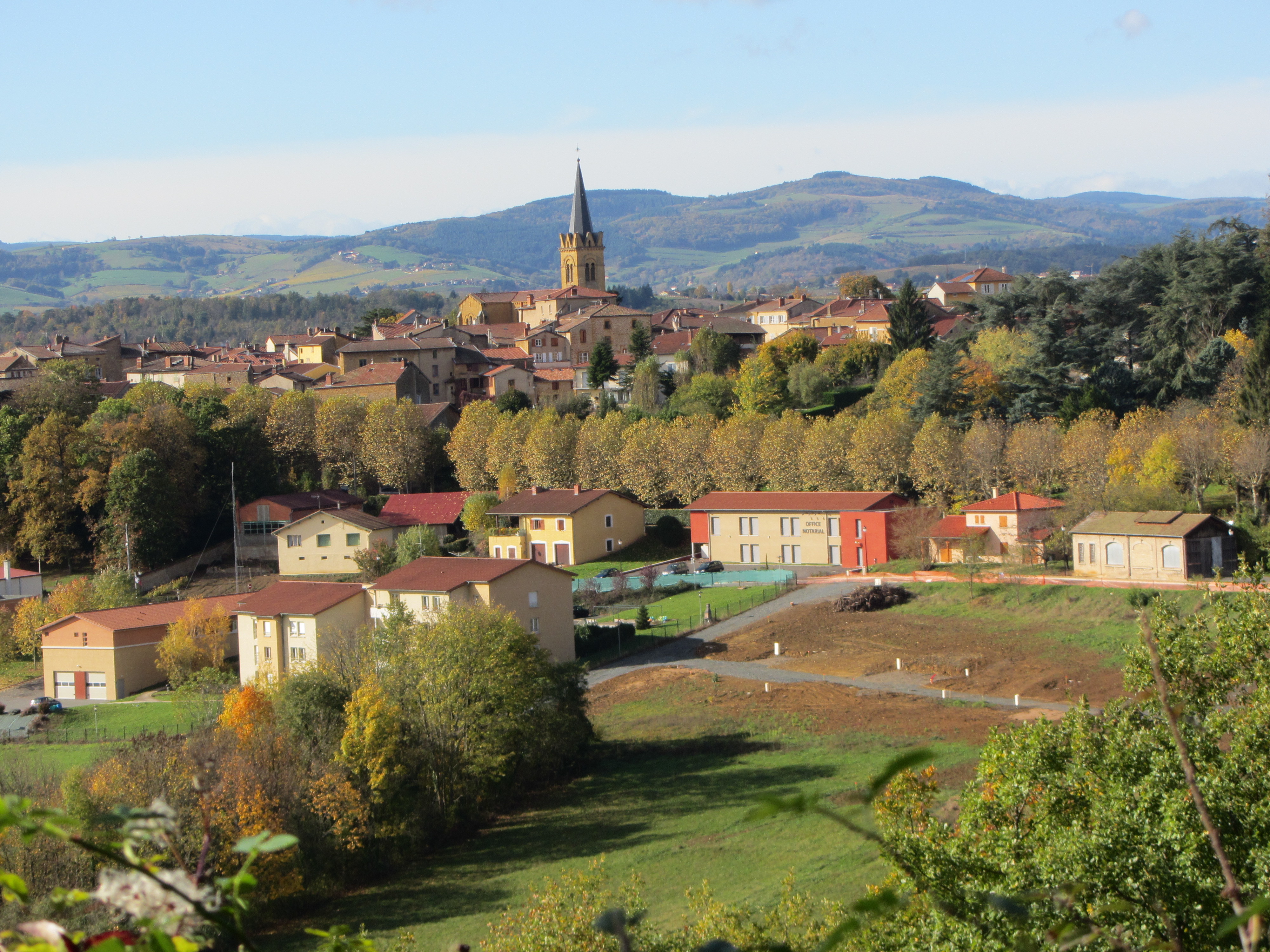 Bois-d'Oingt. vue depuis la voie du Tacot