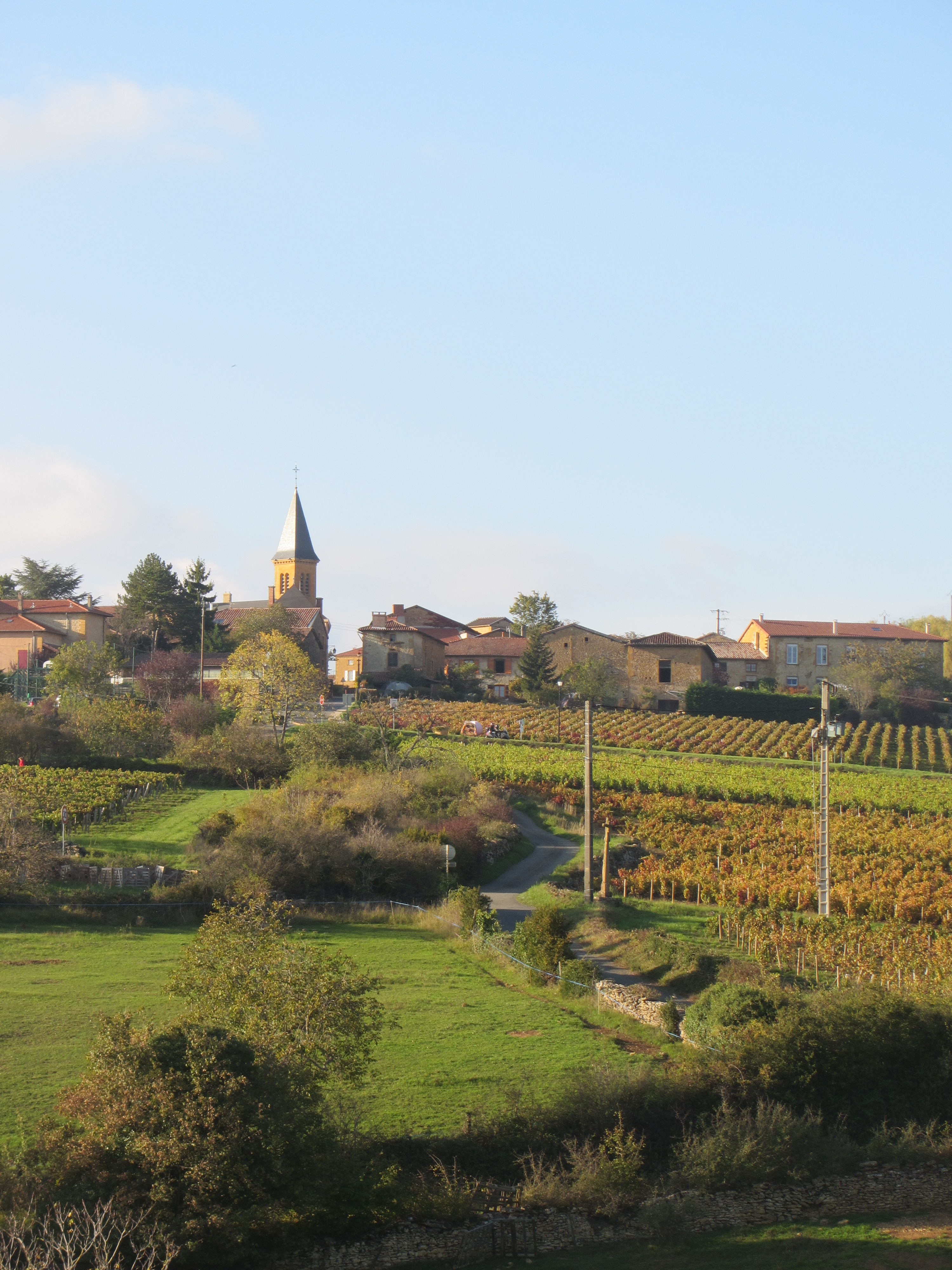 Moiré, Vignobles et découvertes