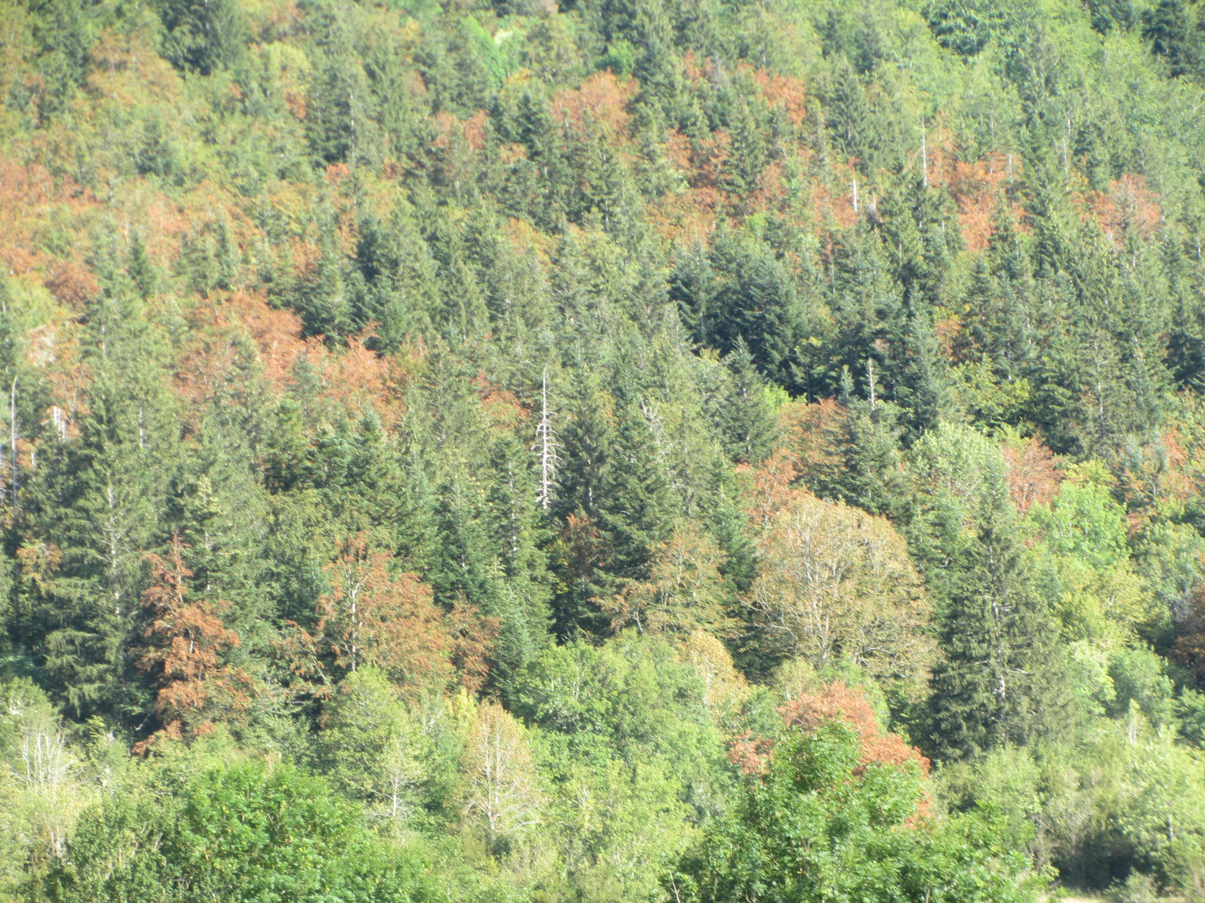 Vercors, sécheresse