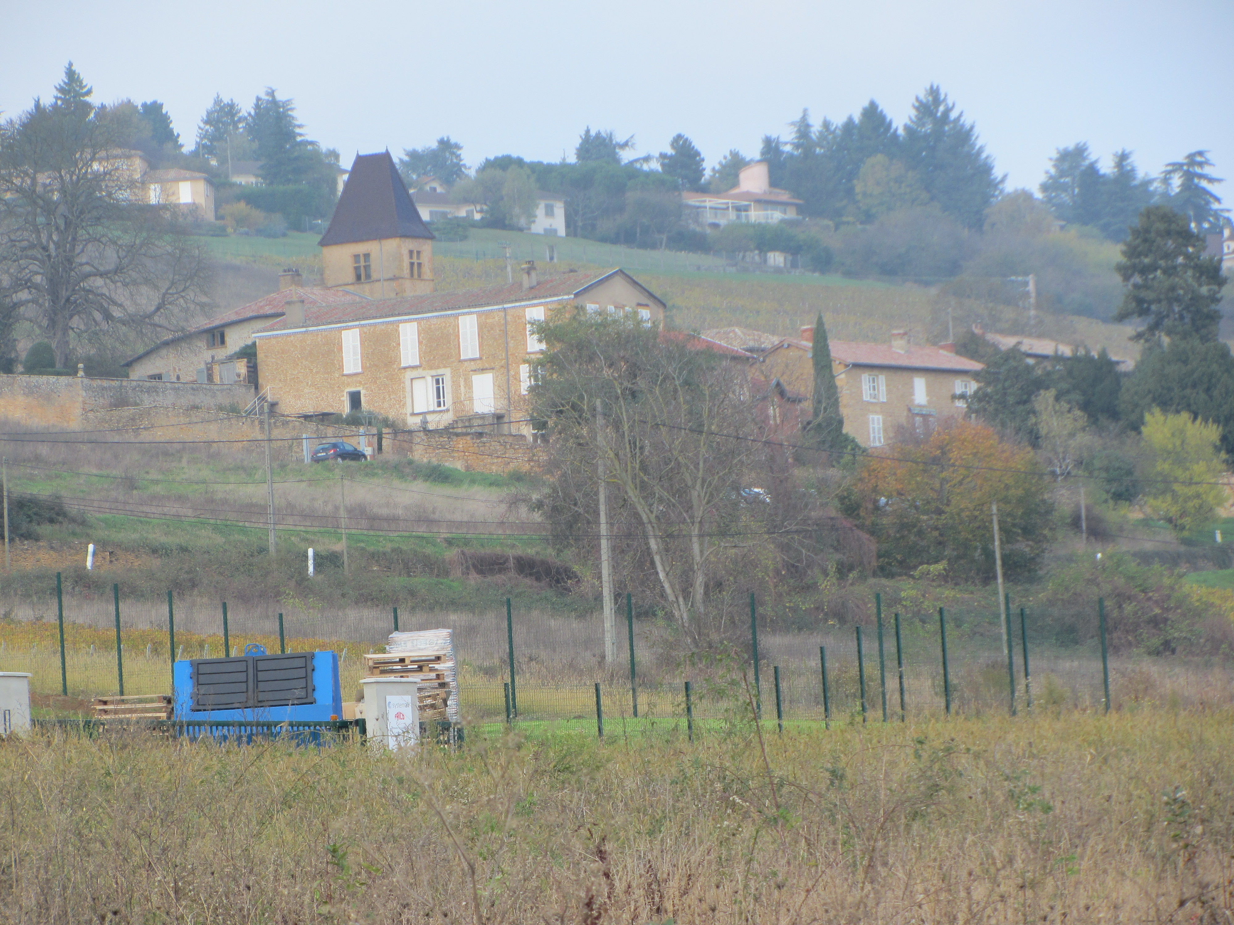 environs Viadorée